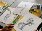 Stage dessin le mouvement