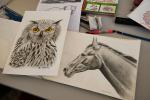 Stage dessin, lâ€™art du dessin animalier - suite
