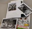 Stage dessin, lâ€™art du dessin animalier - suite