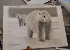 Stage dessin, lâ€™art du dessin animalier - suite