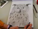 Stage dessin, lâ€™art du dessin animalier - suite