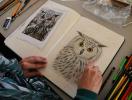 Stage dessin, lâ€™art du dessin animalier - suite