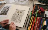 Stage dessin, lâ€™art du dessin animalier - suite